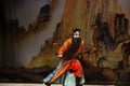 The prince of Xixia- Beijing OperaÃ¢â¬Å Women Generals of Yang FamilyÃ¢â¬Â